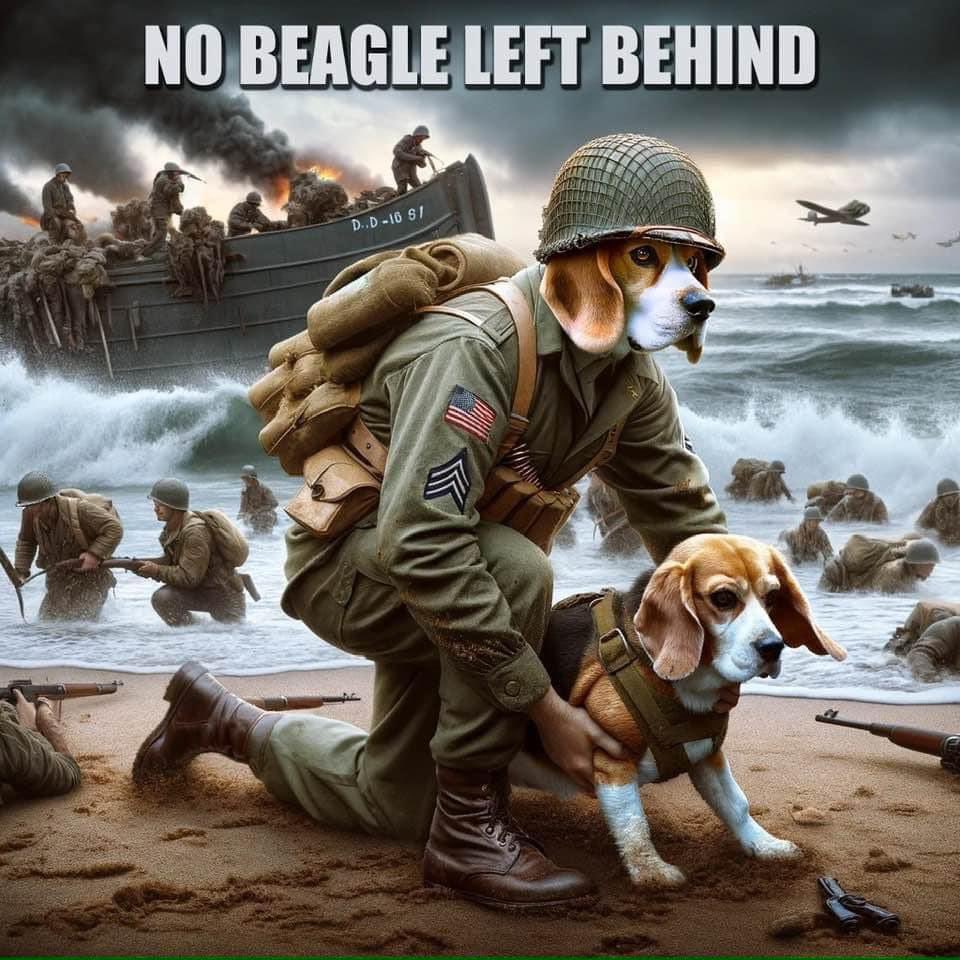 Tony ⚒ (@74tonystac) on Twitter photo Love this picture..straight to the point eh #mbracres…<a href="/missgemcollins/">Gemma Collins</a> <a href="/BailesJanie/">Janie Bailes Green & Scarlett 🐾🐾</a> <a href="/GBNEWS/">GB News</a> <a href="/willyoung/">Will Young</a> <a href="/EamonnHolmes/">Eamonn Holmes OBE</a> <a href="/BetsyAmbassador/">Betsy, Beagle Ambassador for FLOE</a> <a href="/ajpReact/">AnimalJusticeProject</a> <a href="/AnimalRising/">Animal Rising</a> Love this picture..straight to the point eh #mbracres…<a href="/missgemcollins/">Gemma Collins</a> <a href="/BailesJanie/">Janie Bailes Green & Scarlett 🐾🐾</a> <a href="/GBNEWS/">GB News</a> <a href="/willyoung/">Will Young</a> <a href="/EamonnHolmes/">Eamonn Holmes OBE</a> <a href="/BetsyAmbassador/">Betsy, Beagle Ambassador for FLOE</a> <a href="/ajpReact/">AnimalJusticeProject</a> <a href="/AnimalRising/">Animal Rising</a>