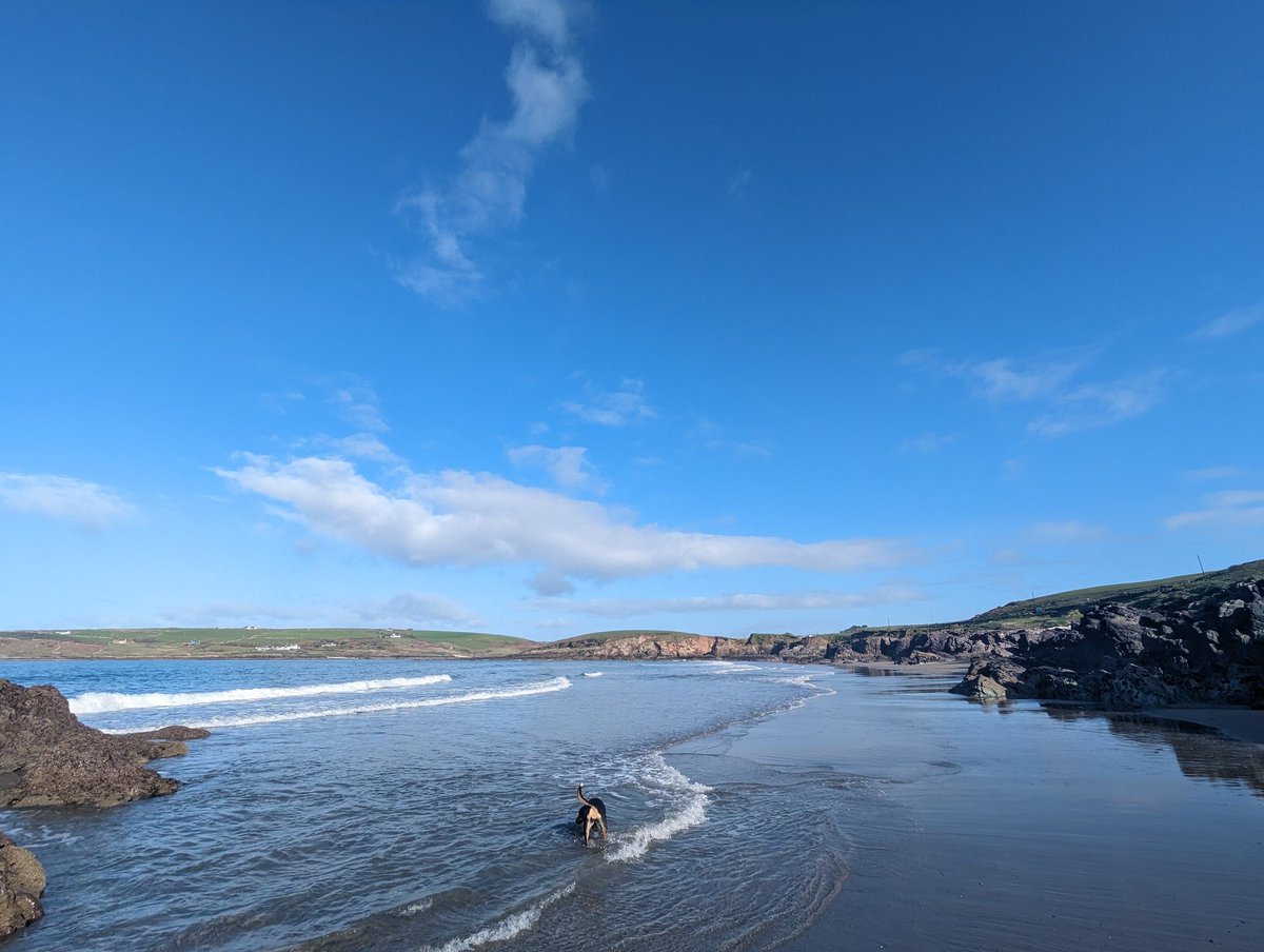 Noel O'Connor tweet media