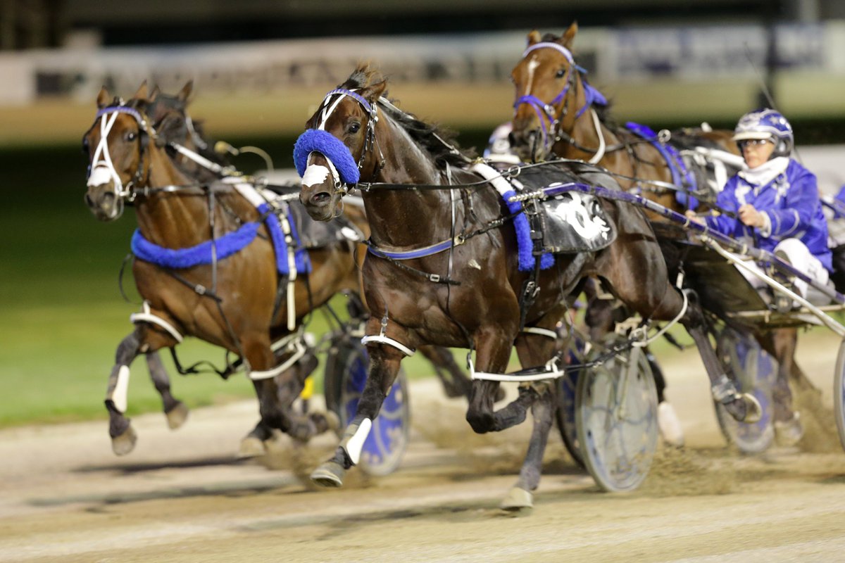 Harness Racing NZ (@harnessracingnz) on Twitter photo DON'T STOP DREAMING returns to NZ in winning form taking out the Group 2 Auckland Co-Op Taxis City Of Auckland FFA after sitting parked and doing it tough throughout tonight at Alexandra Park DON'T STOP DREAMING returns to NZ in winning form taking out the Group 2 Auckland Co-Op Taxis City Of Auckland FFA after sitting parked and doing it tough throughout tonight at Alexandra Park
