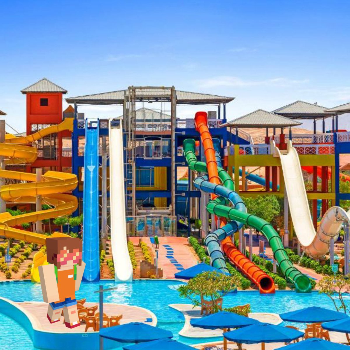 Where is Squiddo? tweet media