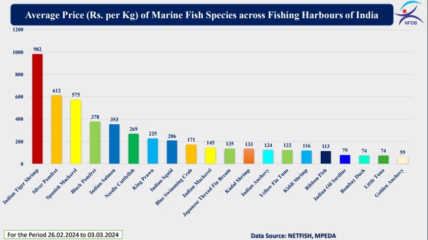 Average price of various Marine fish species across #Fishing #Harbours of India as per #FMPIS (Fish Market Price Information System) weekly report (26.02.2024 to 03.03.2024). The report can be accessed from nfdb.gov.in/welcome/weekly