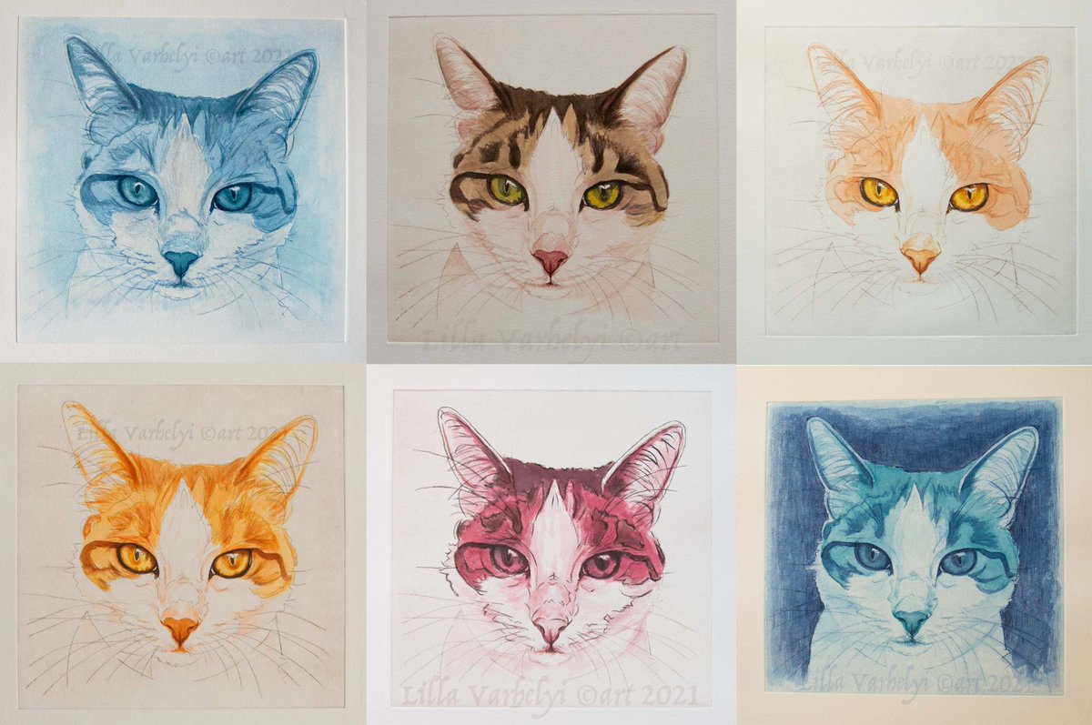 Geschenkidee Lotti 😺eine #Radierung mit #Tusche coloriert für 70 Eu inkl. Passepartout&Versand nach D  #Etching & #Ink #forsale 
#kunstkaufen #katzen #kunstverkauf #katze #katzenliebe #drawingart #catdrawing #kleineKunstklasse #artforsale #originalart #katzen #cat #geschenkidee