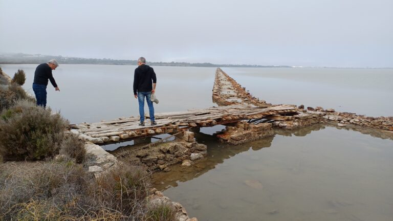 Balearia's tweet photo. #FundacióBaleària |🤝 Hem col·laborat amb @pelagicuscat i @IBZPreservation en l'elaboració de noves mesures de gestió per a afavorir la nidificació d’ocells marins en l’estany Pudent a Formentera.

Una zona de gran interès biològic, ja que acull una gran diversitat d'espècies. 🦩 https://t.co/i6fFjkLR2h