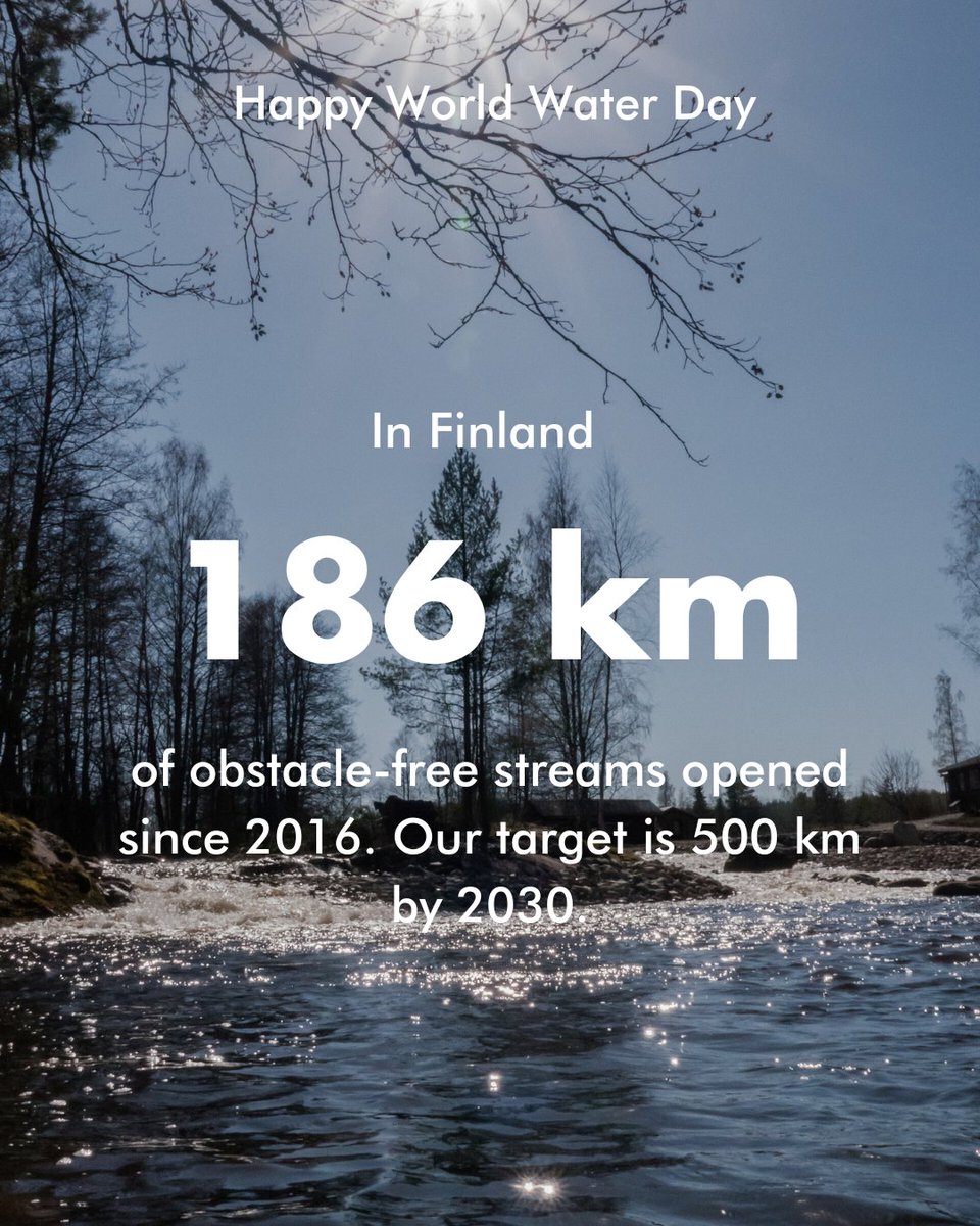 Our stream water programme promotes biodiversity by restoring rapids and streams to their natural state. In Finland we have opened 186 km of obstacle-free streams and our target is 500 km by 2030. Happy World Water Day! 💚 go.upm.com/43s0Kn0 #WorldWaterDay