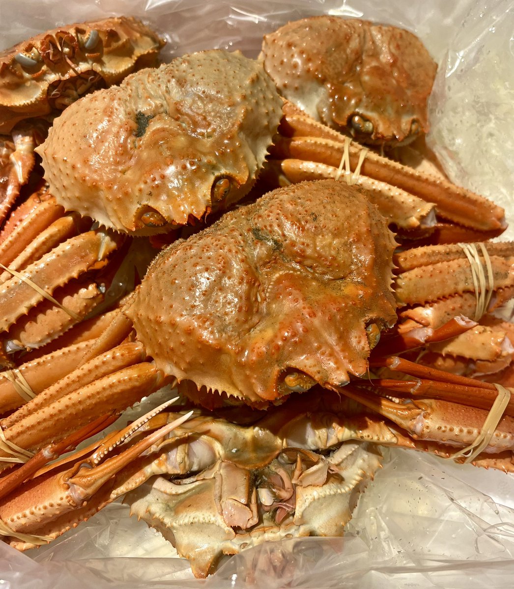 思った以上にたくさん届いて打ち震える🦀