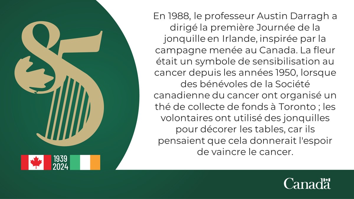 Nous souhaitons à la @IrishCancerSoc une bonne journée #DaffodilDay de collecte de fonds et de sensibilisation ! Gardez un œil sur tous les bénévoles qui seront sur place pour collecter des fonds vitaux pour soutenir la #recherche contre le #Cancer 🌼