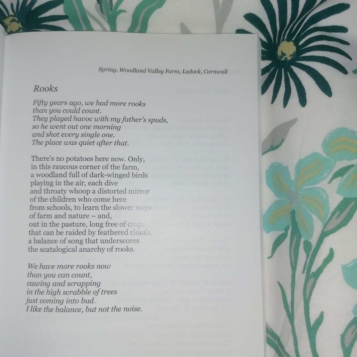 These #FridayFoodPoem (s) that I share are as much farm as food poems. Today's is no exception. Waking up to a steely grey (or rather, feldspar white) morning in Cornwall, this from @adamhorovitz felt appropriate.