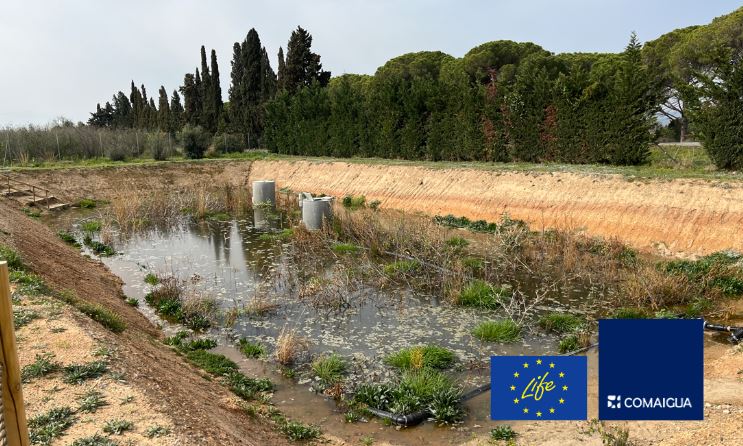 Comaigua (@comaigua) on Twitter photo Aquesta setmana, s'ha realitzat una campanya de mostreig del projecte LIFE #REMAR per fer el seguiment de l'evolució de la qualitat de l'#aigua durant la infiltració. <a href="/MejorasE/">Grupo Mejoras</a> <a href="/la_UPC/">Universitat Politècnica de Catalunya (UPC)</a> <a href="/LIFEprogramme/">LIFE Programme</a> <a href="/CNRS/">CNRS 🌍</a> <a href="/CSICCat/">CSIC en Catalunya</a> #ODS2030 Aquesta setmana, s'ha realitzat una campanya de mostreig del projecte LIFE #REMAR per fer el seguiment de l'evolució de la qualitat de l'#aigua durant la infiltració. <a href="/MejorasE/">Grupo Mejoras</a> <a href="/la_UPC/">Universitat Politècnica de Catalunya (UPC)</a> <a href="/LIFEprogramme/">LIFE Programme</a> <a href="/CNRS/">CNRS 🌍</a> <a href="/CSICCat/">CSIC en Catalunya</a> #ODS2030