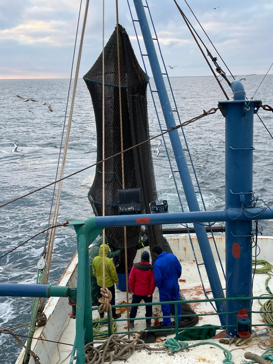 UN_FAO_GFCM's tweet image. 🌊#BlacSea4Fish experts are at sea conducting a #selectivity study on demersal trawls &amp;amp; investigating discard patterns for #species such as #whiting and #redmullet.
📌Towards #sustainable exploitation of commercial fish stocks in the #BlackSea.