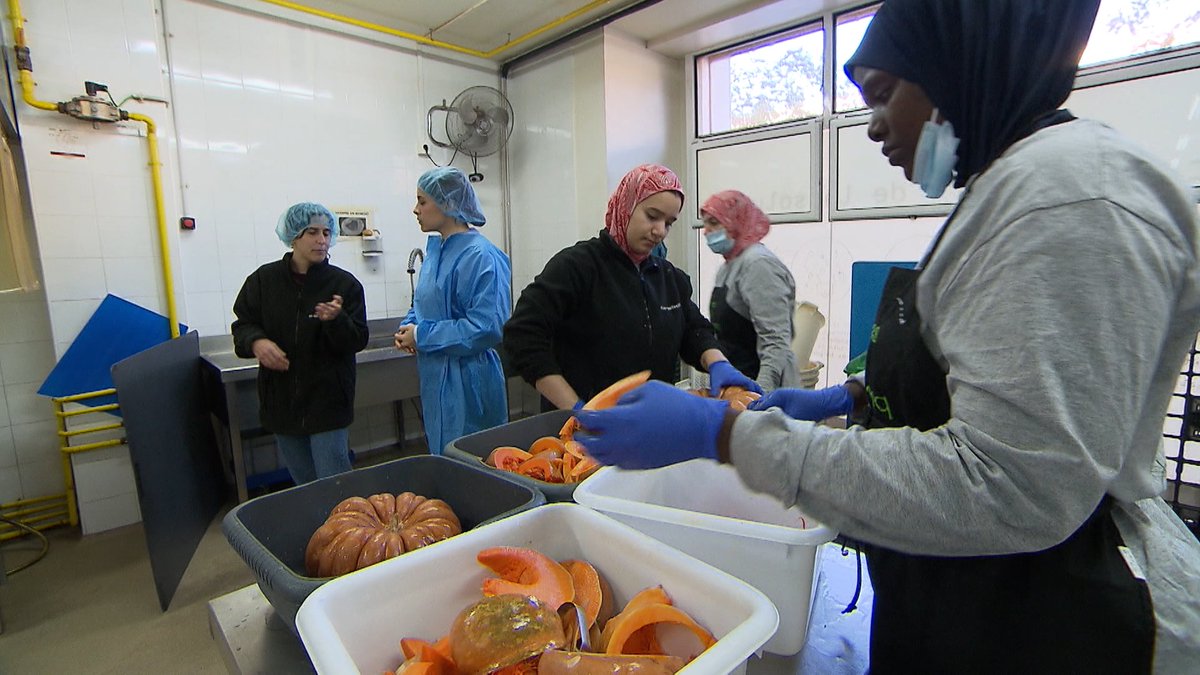 👉Existen alimentos que son aptos para el consumo humano, pero se descartan o se deja que se estropeen. Esta situación se llama desperdicio alimentario. ➡En este capítulo buscamos las razones por las cuales deberíamos rebañar el plato. 🪲REBAÑAR EL PLATO, a las 18h en @la2_tve