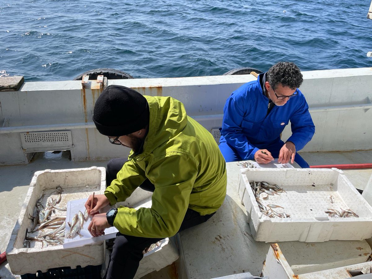 UN_FAO_GFCM's tweet image. 🌊#BlacSea4Fish experts are at sea conducting a #selectivity study on demersal trawls &amp;amp; investigating discard patterns for #species such as #whiting and #redmullet.
📌Towards #sustainable exploitation of commercial fish stocks in the #BlackSea.