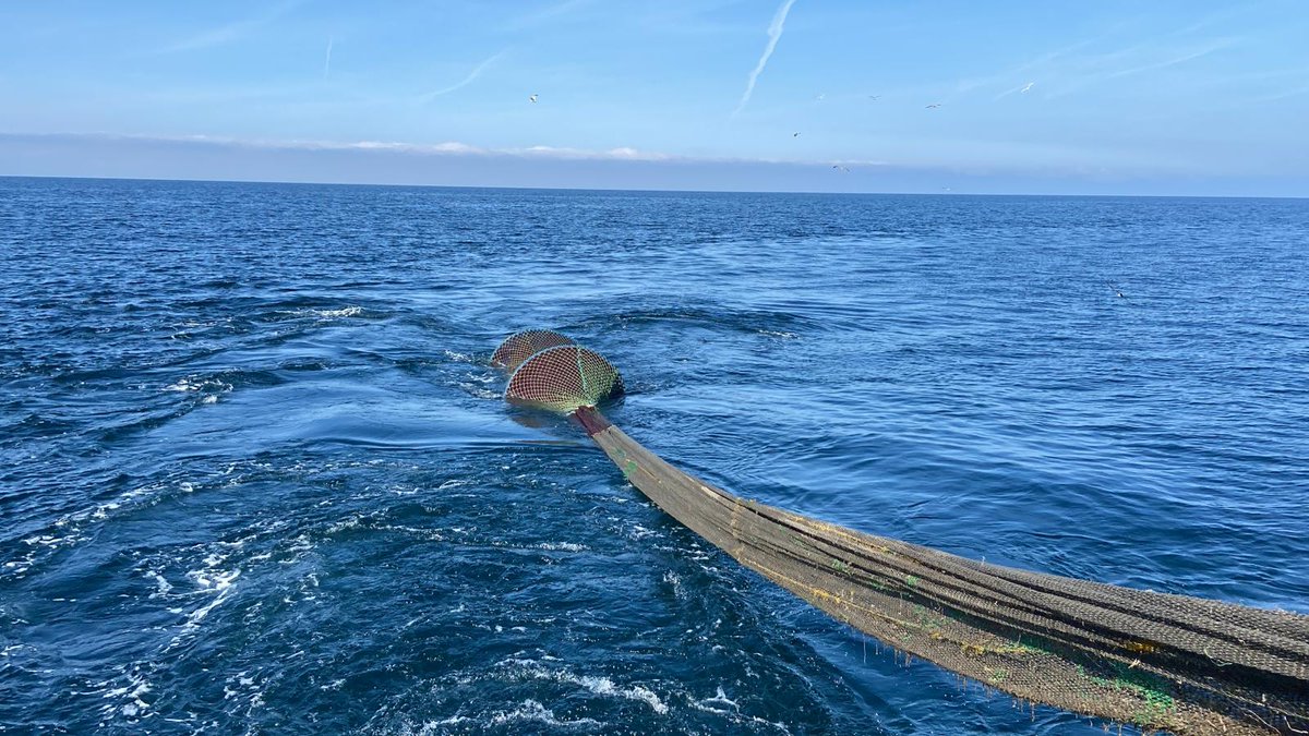 UN_FAO_GFCM's tweet image. 🌊#BlacSea4Fish experts are at sea conducting a #selectivity study on demersal trawls &amp;amp; investigating discard patterns for #species such as #whiting and #redmullet.
📌Towards #sustainable exploitation of commercial fish stocks in the #BlackSea.