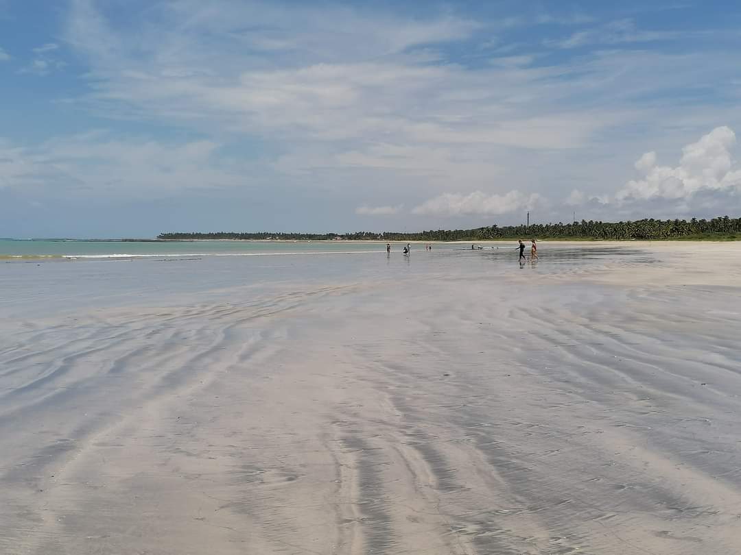 skymanuelima's tweet photo. Ipioca é um bairro de Maceió e possui uma das praias mais lindas da região, a praia de Sauaçuhy. 🇧🇷 #Ipioca #Maceió #Sauaçuhy #praia #Brasil #travelphotography #viagens #FotógrafoAmador https://t.co/BD0zPLFGVm