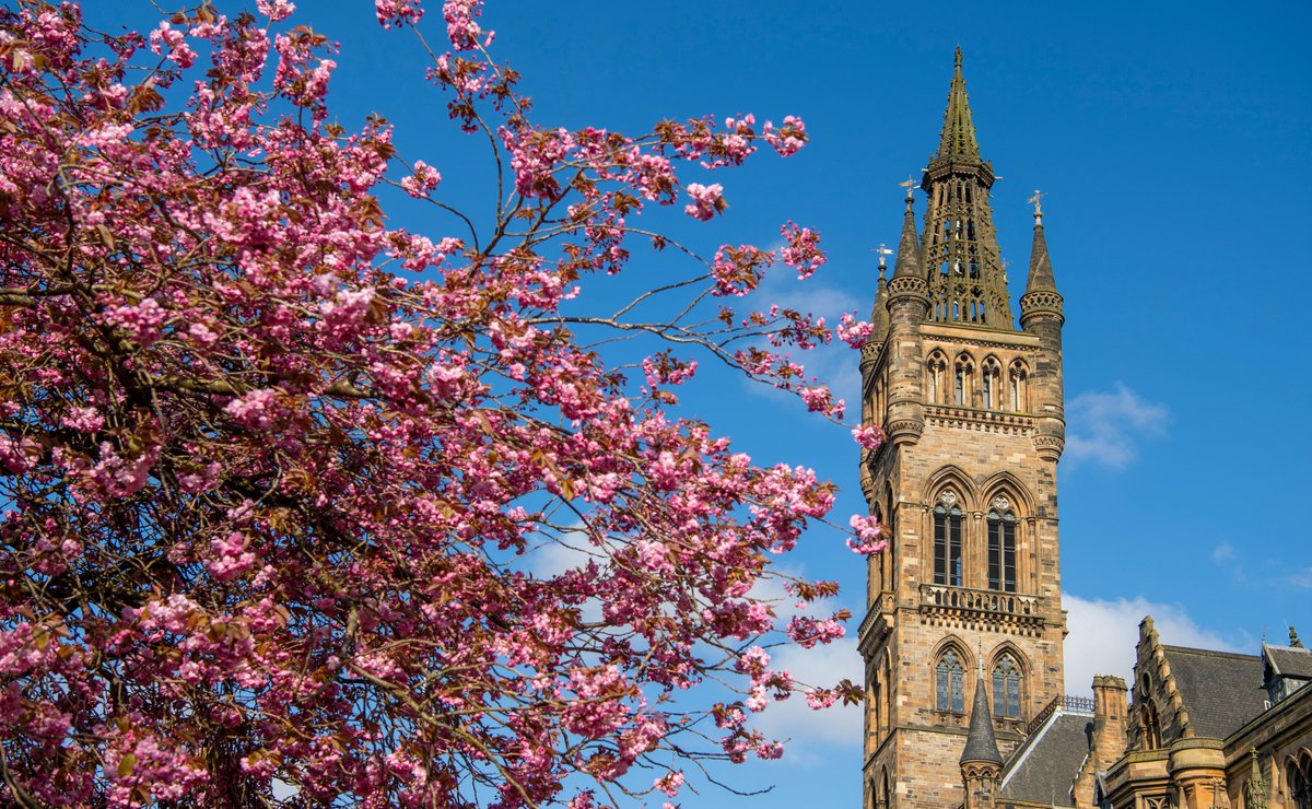 📢 Academic Writing Festival - Write of Spring, 15th - 26th April. We're inviting colleagues from across the institution to come together to celebrate, reflect on &amp; engage with academic writing practice.

Find out more about the 2 week programme: sway.cloud.microsoft/xdcPxMRgDsLM3k…