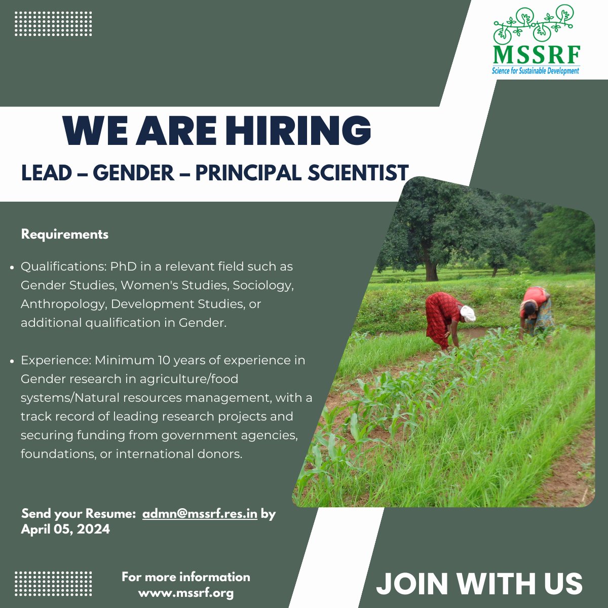 Are you a #Gender specialist interested in contributing to #research & #rural #development work⁉️ #MSSRF is looking just for you‼️ Apply now👉🔗shorturl.at/doK78 @cabcmssrf @bptabc_mssrf @Fishforallmssrf @nityarao63 @doctorsoumya @Rengalakshmi10