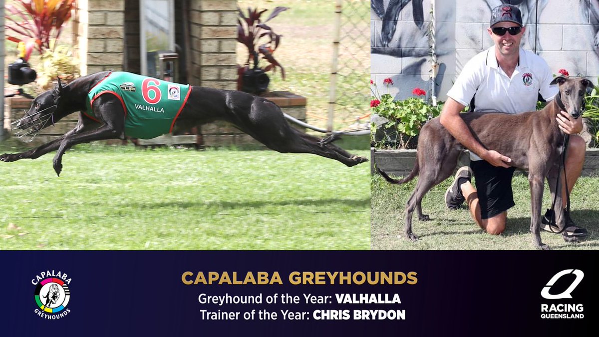🐶 2023 <a href="/tabcomau/">TAB</a> QLD Greyhound Awards 🐶

✨ <a href="/Capalabagreys/">Capalaba Greyhound Racing Club</a> ✨

🏆 VALHALLA (T. Tzouvelis)
🏆 CHRIS BRYDON

Valhalla has had some year, claiming an array of feature races including a Group 2 Capalaba Cup, Anniversary Cup and a QLD Straight Championship! Trainer Chris Brydon also