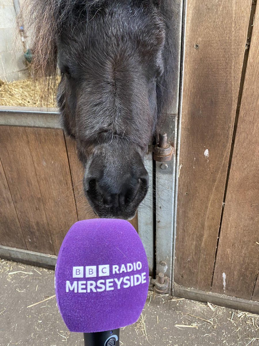 I’ll start with the obvious question… why the long face? @bbcmerseyside