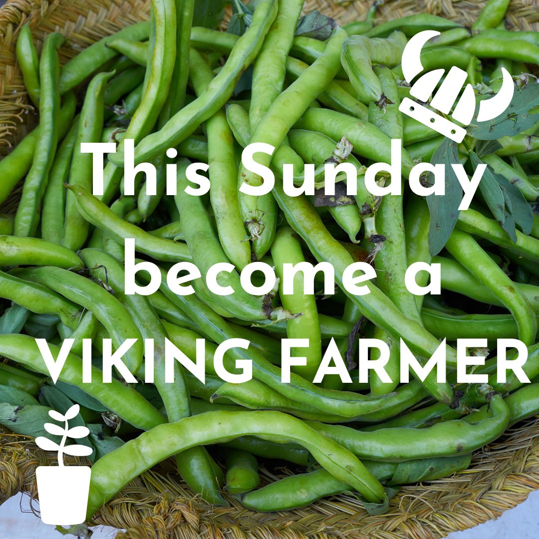 This Sunday and Tuesday come and be a Viking farmer and plant some Broad Bean seeds to grow at home. 11am, 11.30am, 3.30pm & 4pm. Location: Children's Garden For families with kids age 3+. First come first served, no need to book. Don't forget to bring your own grown up!