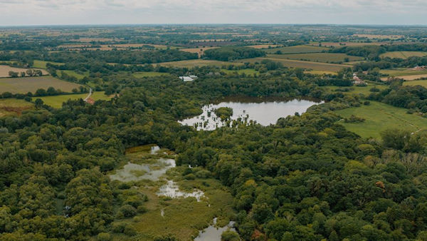 We will be visiting some stunning locations for our summer visits and AGMs this year, including: @_HatfieldPark_ @StuntneyEstate @hexgreave @tiptree @Revesby_Estate @HallKenton @WendlingBeck @StanfordHall6 Details here > tinyurl.com/4wcjkrv7