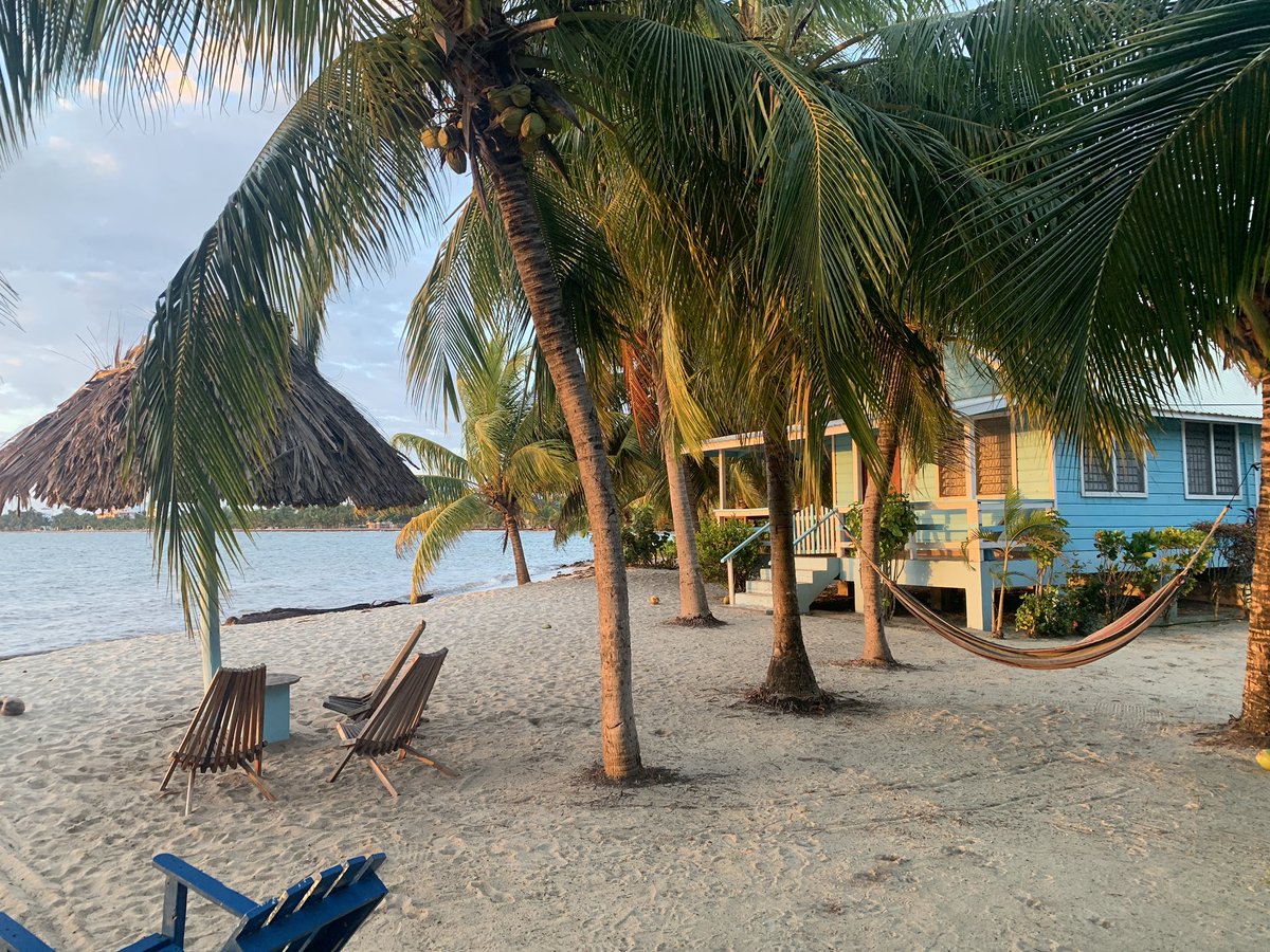 HighPoinTravel's tweet photo. Placencia Belize - beachside cabanas https://t.co/PqfSXp5KQX https://t.co/4efQSNNADN