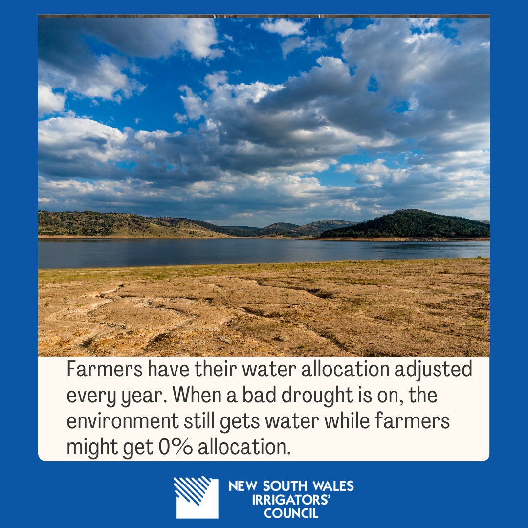 Farmers' water access is adjusted every year for the weather conditions. When a drought is coming, water allocations can drop to nothing so rivers keep flowing, leaving farmers to sit out the season.