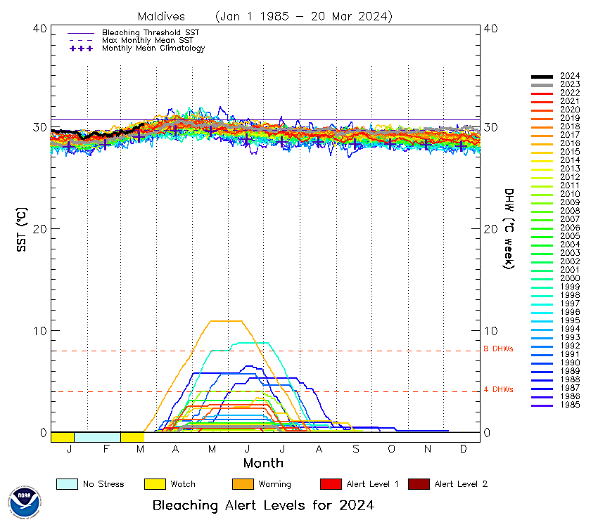 nixams8's tweet photo. 🌊🔍 Alert from NOAA Coral Reef Watch on Maldives' Sea Surface Temperature trend for 2024. This year mirrors with the 2016 MCBE.☠️

☑️ Current SST levels are exceeding the mean monthly climatology.
☑️ SST is also surpassing the maximum monthly mean SST on record. https://t.co/plV7evIFFn