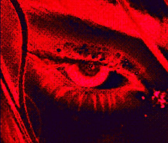 Dxrsite's tweet photo. i got red
-aesthetic 
-character 
-flower 
-album (forgive me) 

reply for a color :3 https://t.co/L3ZPbGxEMO