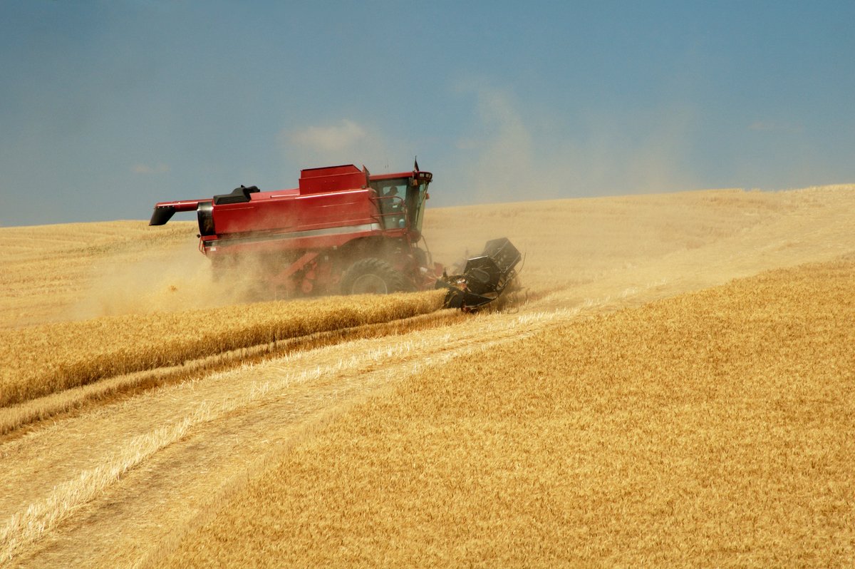 Centre for Environmental Economics and Policy tweet media