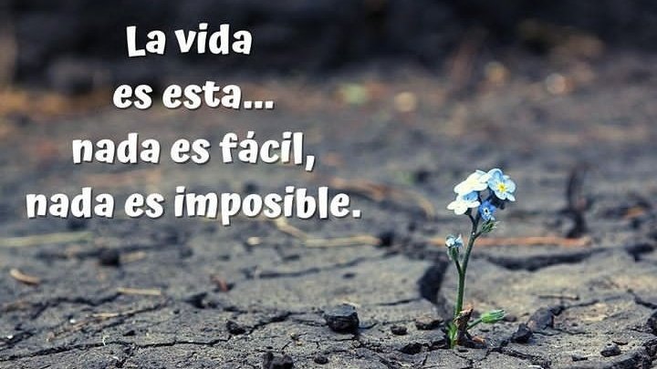 Claudia Hernández (@claudia29hdz) on Twitter photo 