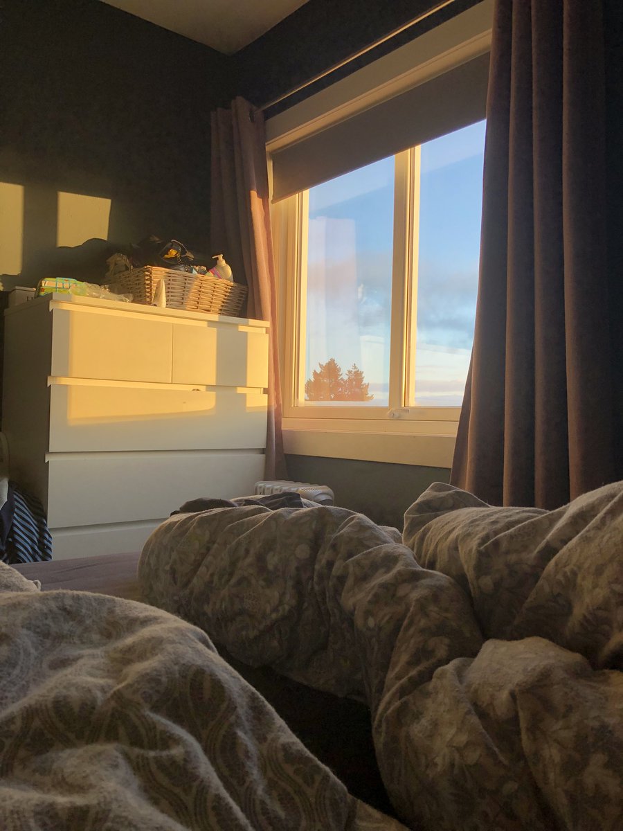 I dag var det seigt å stå opp og jeg ligger fortsatt under dyna. 
Eller som Cato Haug ville sagt det: 
«Jeg har delvis lykkes i å komme meg på jobben»