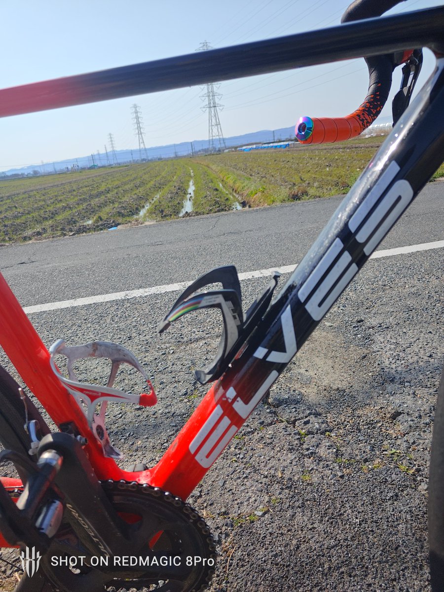 Another_one0101's tweet photo. 気道あたりに疲労感を感じたので今日から5日ほど1時間〜2時間の回復走に変更。
心臓疲労?呼吸筋疲労?+中枢神経疲労?を回復させてもう一度シーズンインに向けて頑張ろうと思います。
#7ElevenCliqqRoadBikePhilippines
#ELVESBIKE
#Orome
#Philcycling
#UClasiatour https://t.co/groaEujgw7