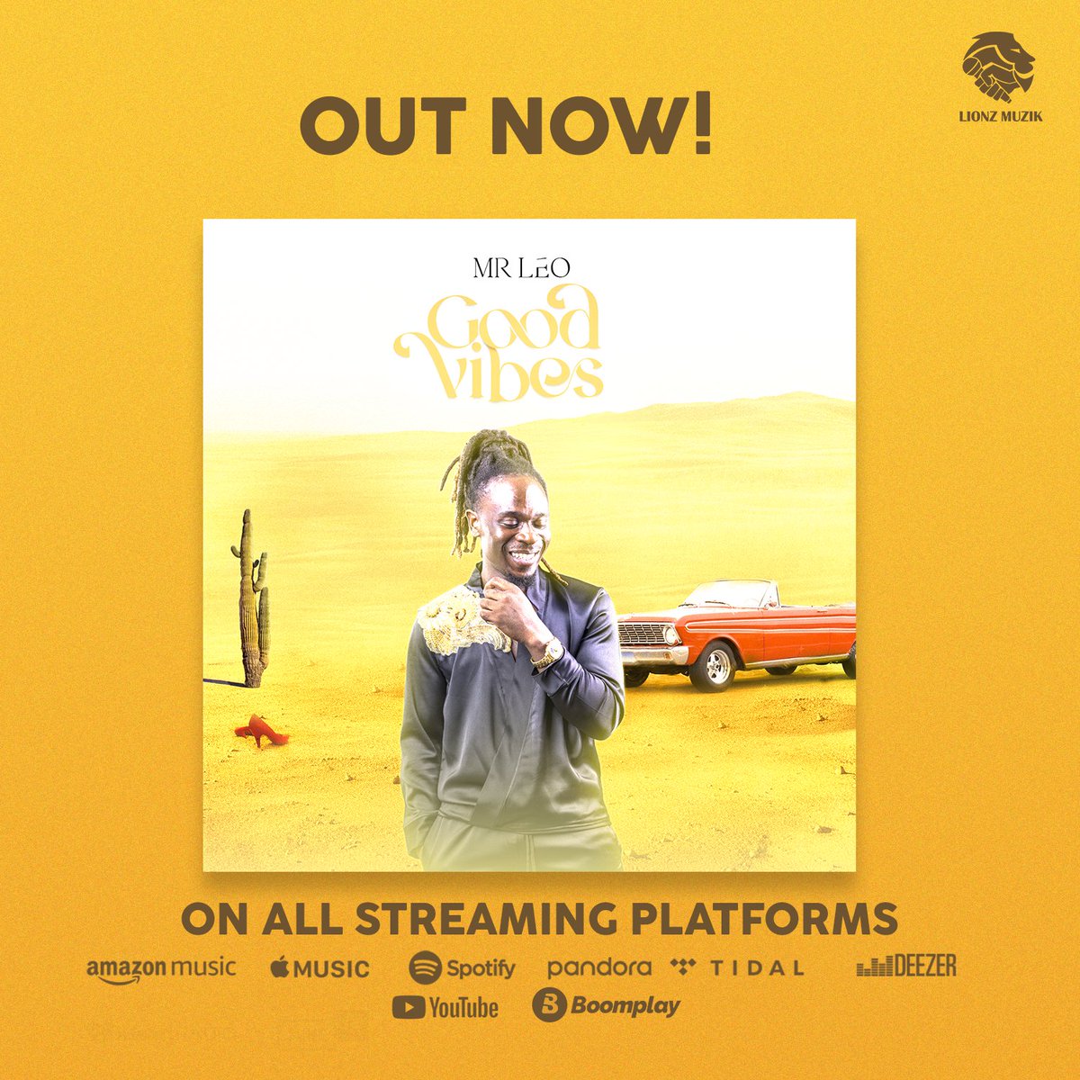 #GoodVibes #Album #OutNow #MrLeo
orcd.co/mrleogoodvibes