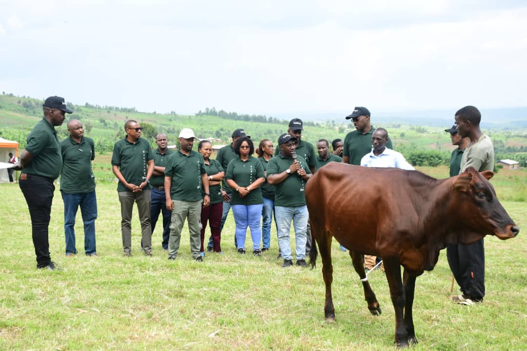 TABAGWE Sector tweet media