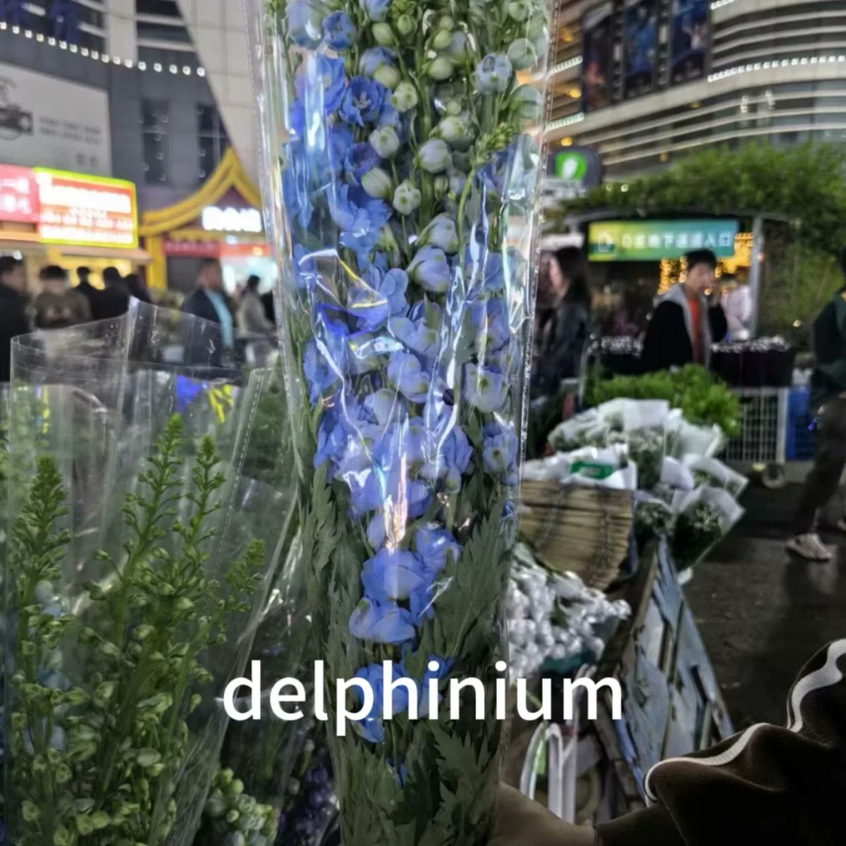 Fresh flower 
#flower #flowersupply #yunnanflower