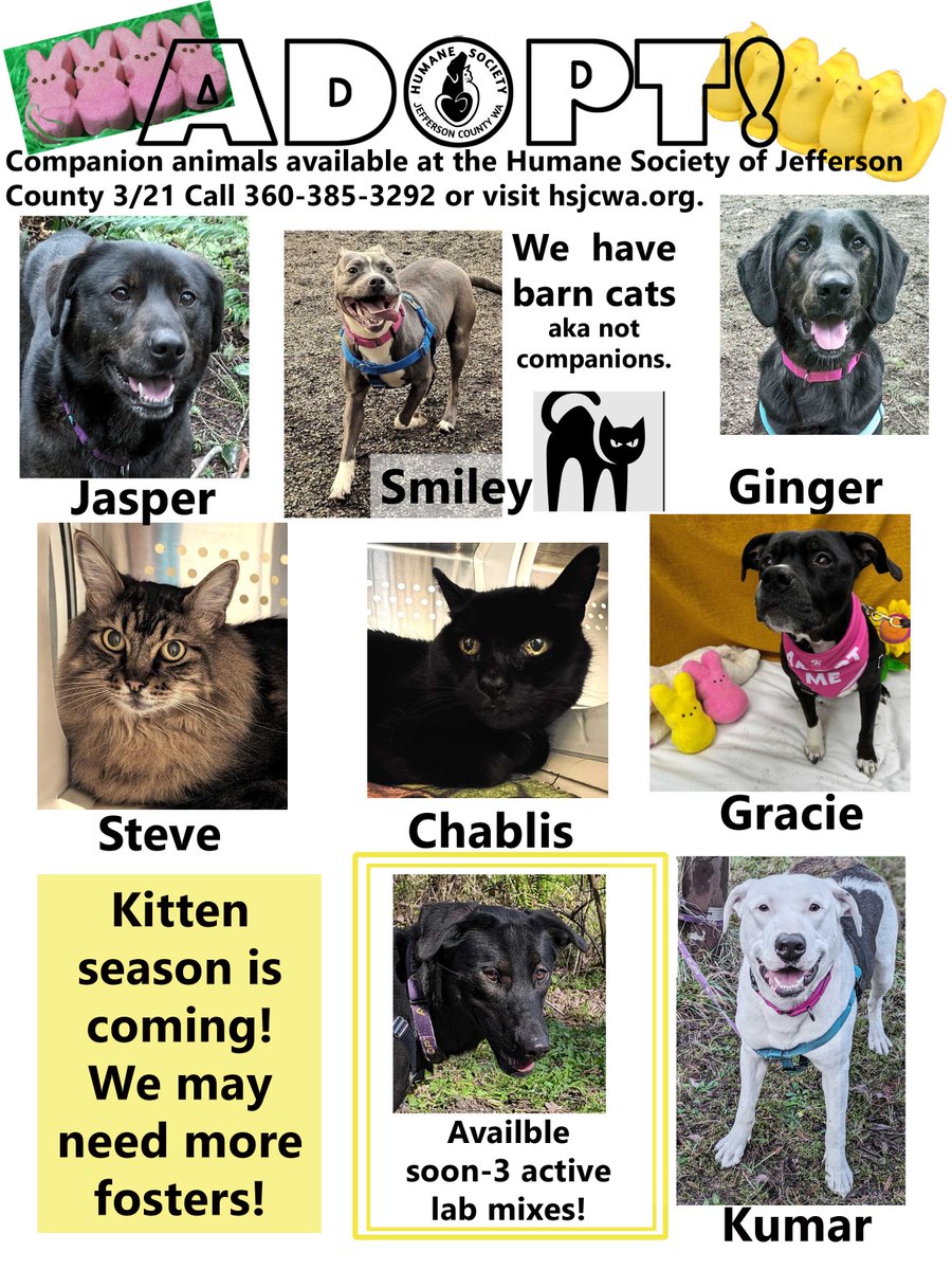 HumaneSociety JeffCo tweet media