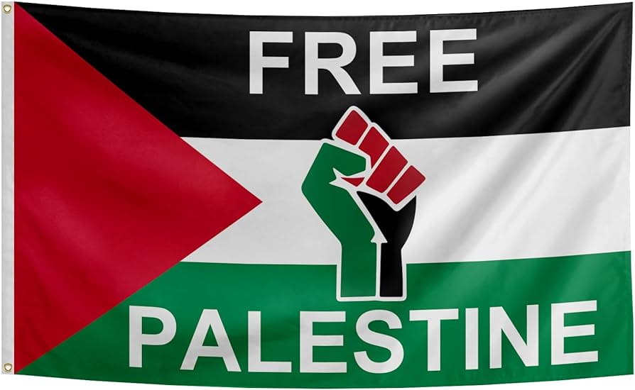 palestine__sol's tweet photo. Every time we fall we get back up.

They are mad because we are not cowards and we stand for something. 

#FREEPALESTINE https://t.co/Pwnq2LCWqO