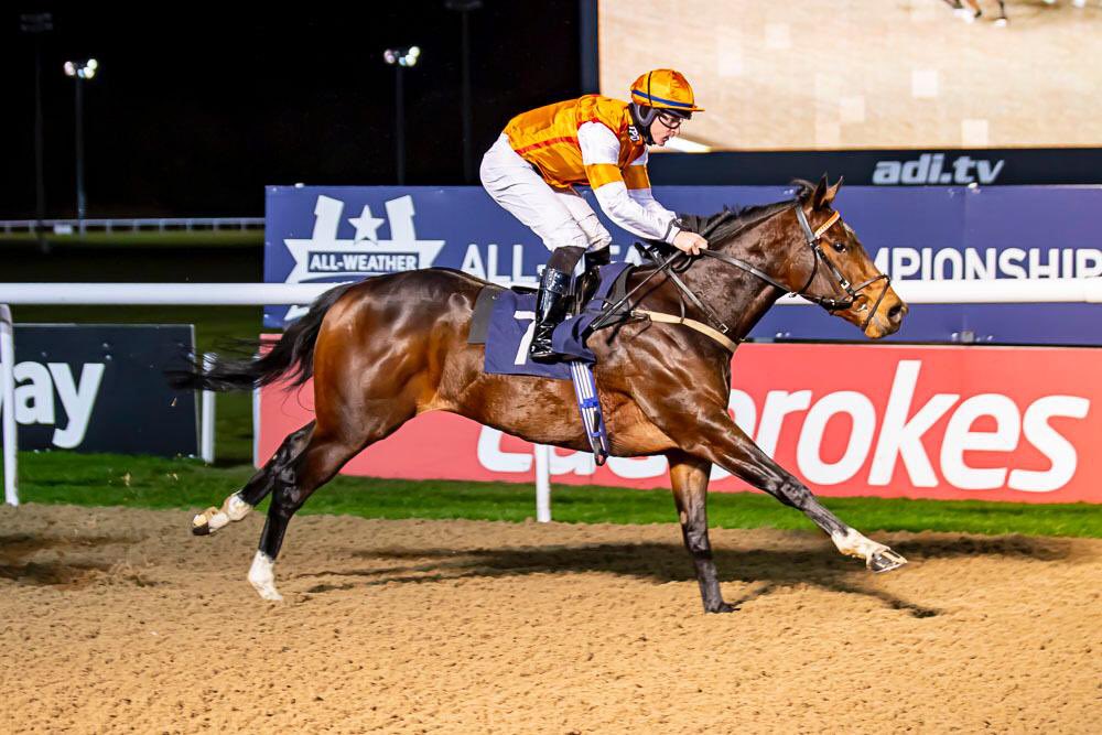 We’re @NewcastleRaces this evening with course winners Rory, Global Humor & Water Of Leith(pictured winning @WolvesRaces as 2yo), @_MarkWinn , @jomason90 & @PMulrennan ride!