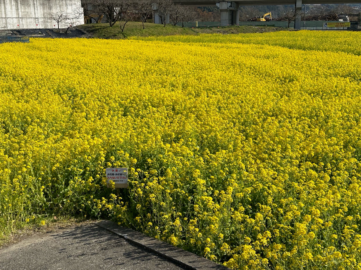 しば(´・ω・`) tweet media