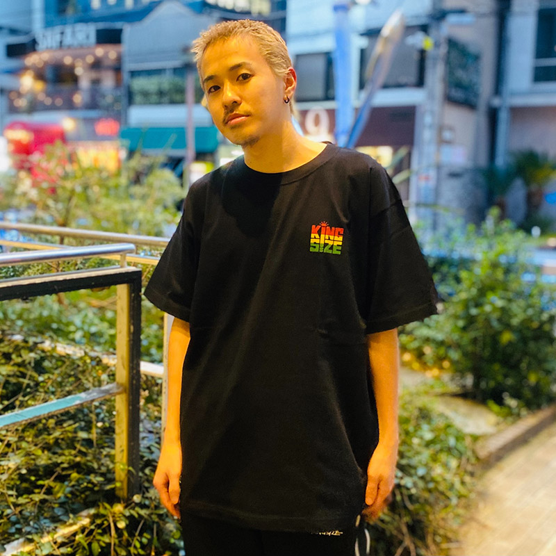 DISSIDENT tweet media