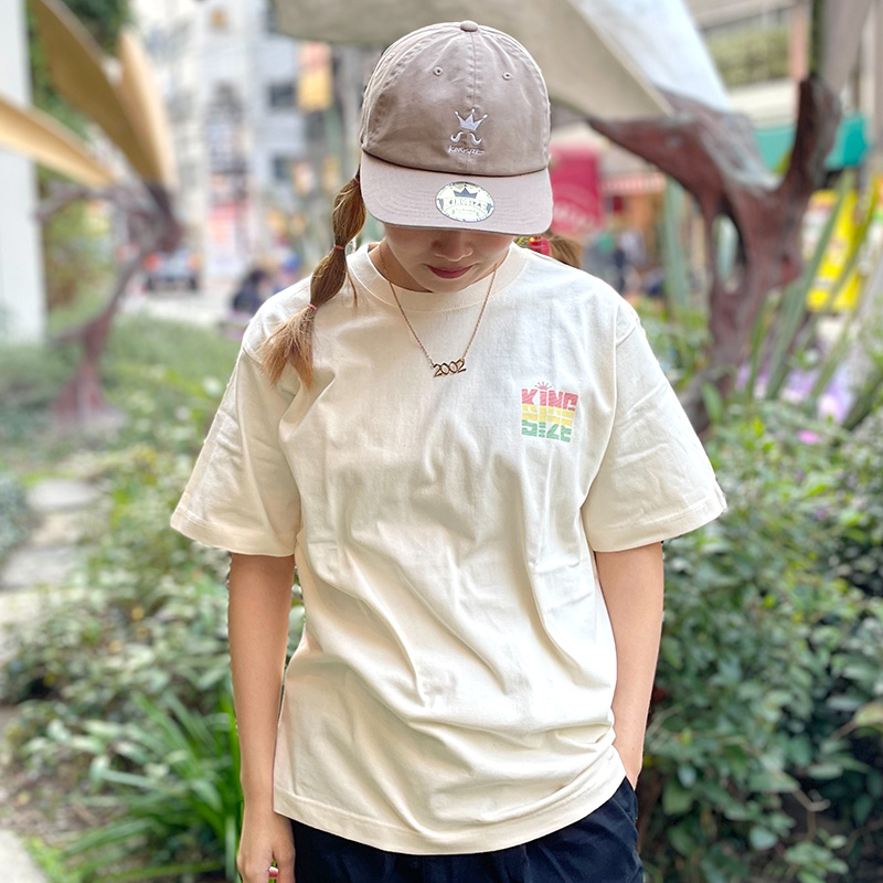 DISSIDENT tweet media