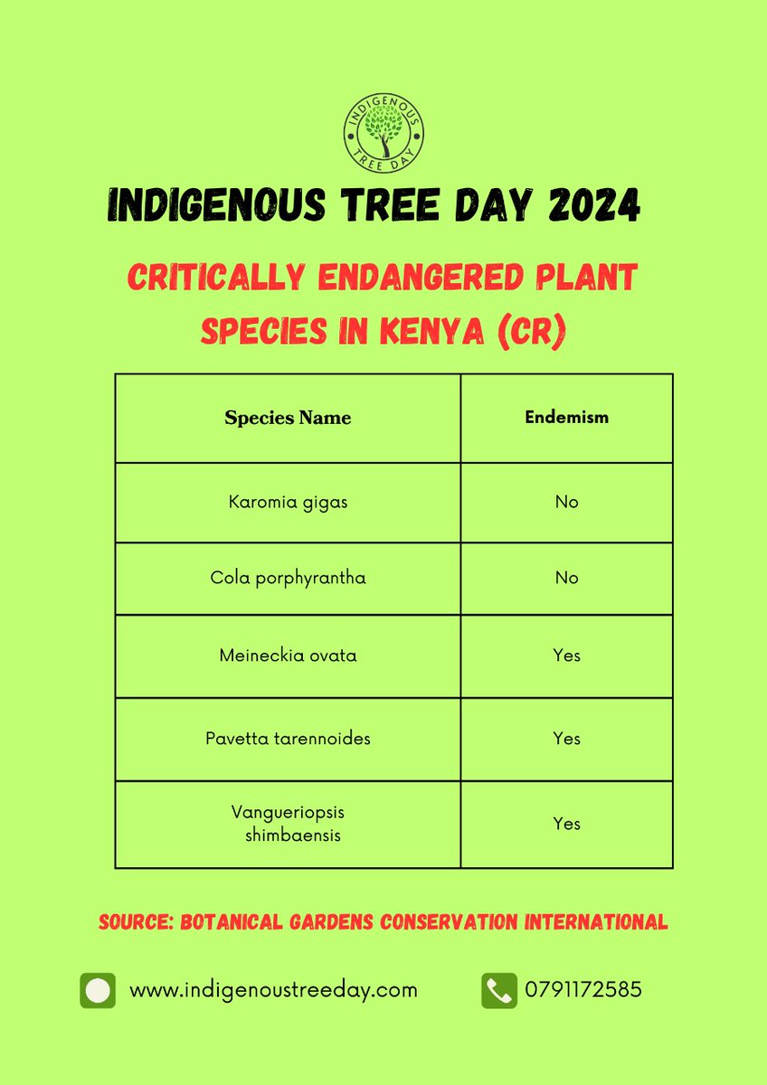 In Kenya, out of the possible 1200 tree species, 5 species are listed by the @IUCNRedList as Critically endangered. We can do something to restore these species and save them from eternal extinction through our upcoming indigenous tree day. Join us. @Monarijulius @Mazingira254