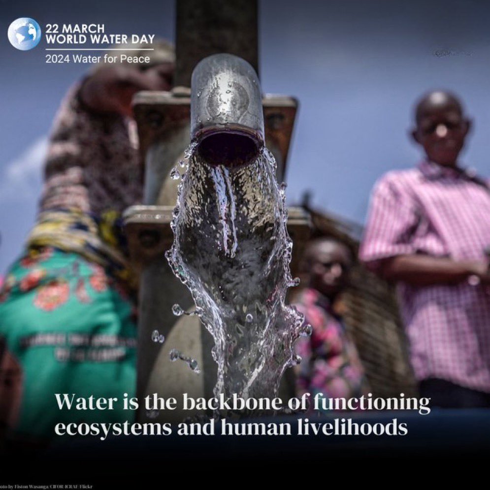 In the FACE of increasing global water shortage, We MUST work together to better manage #freshwater resources, and share them equitably. Happy #WorldWaterDay2024 @AbiluTangwa @EmaanzT @Sdg13Un @ApnomYouthOrg @ACCAIAFRICA