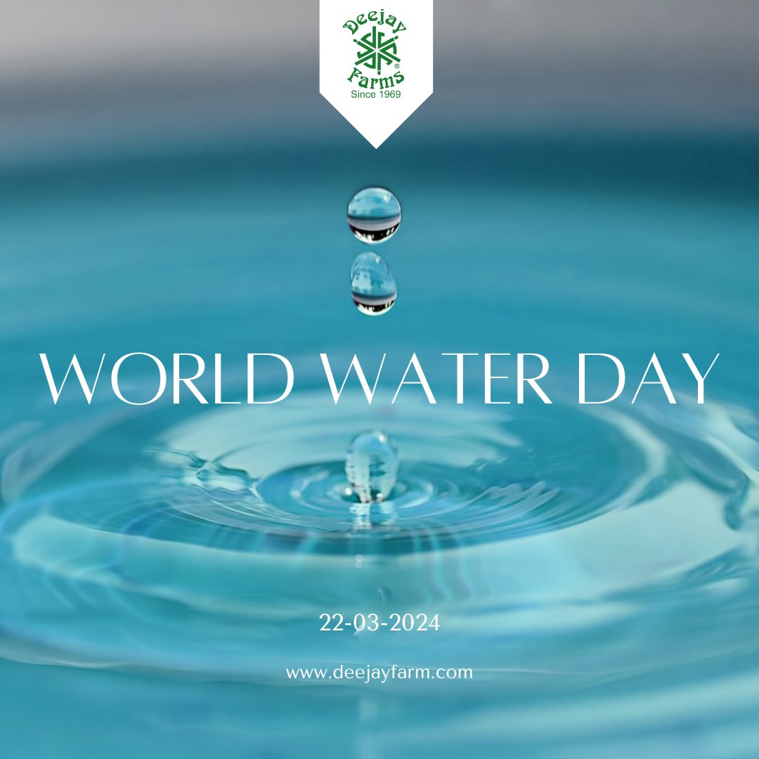 Every drop counts. 💧 Let's cherish and conserve this life-giving resource today and every day.
.
.
.
.
#WorldWaterDay2024 #WaterIsLife #water #DeejayFarms #DeejayCoconutFarm #DeejaySampoorna #coconut #coconutplant #agriculture #farming