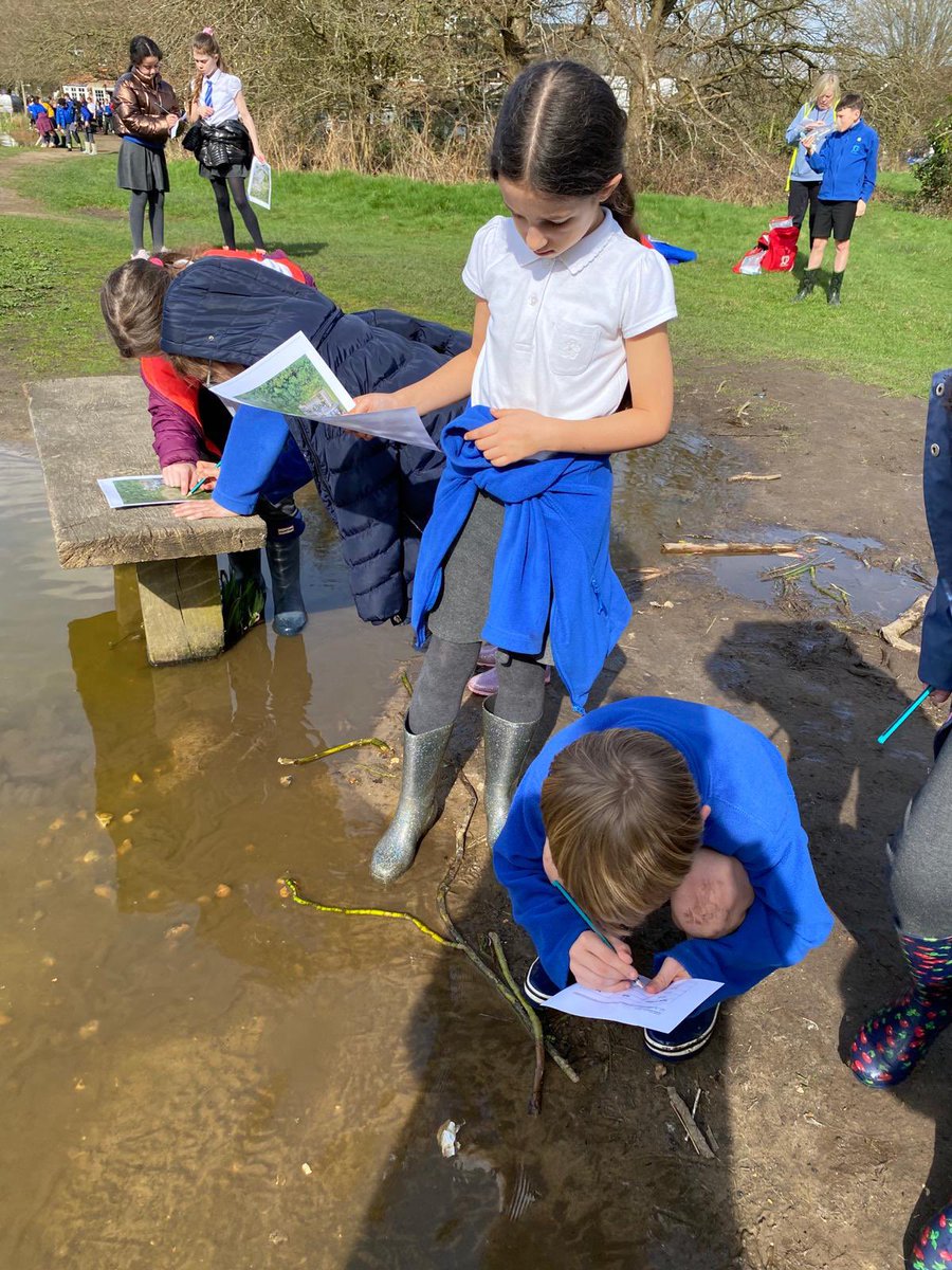 Year 4 and 5 went on a field trip to investigate how littered our local marine environment was. After collecting the data, pupils thought about how litter was harming animal and plant life near the pond. @LEOacademies @SustainableLEO #WeAreLeo