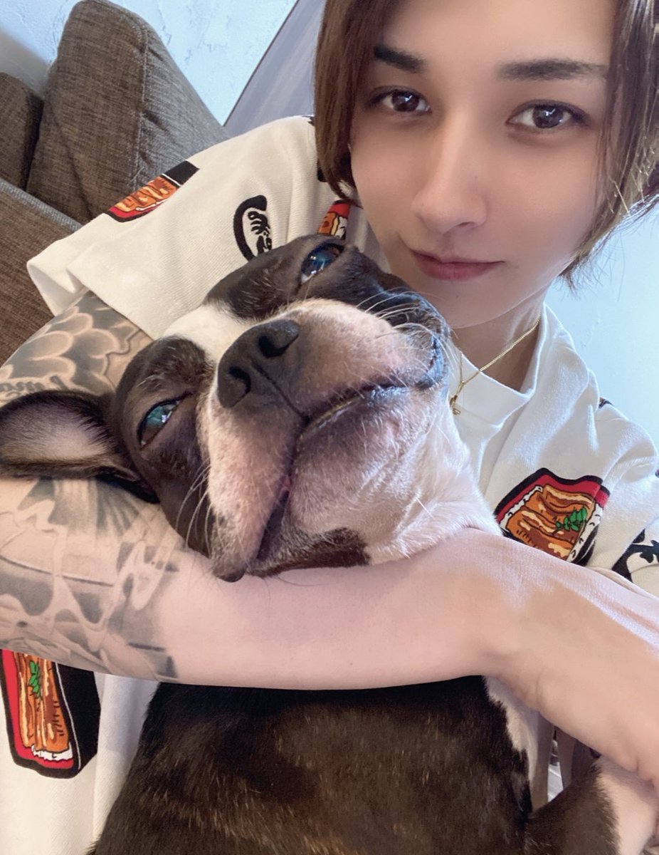 fujirui_7's tweet photo. ホストが犬を飼うことのデメリット
・飼いはじめは同棲を疑われる
・アフターが減る
・自由な時間が減る
・常に帰宅しなきゃのプレッシャー
・2日酔いでも散歩
・社員旅行に行けなくなる
・賃貸にお金がかかる
・心配だから自分の病院の何倍も病院にいく

メリット
・めっちゃ幸せ https://t.co/4ouT5GZEsj