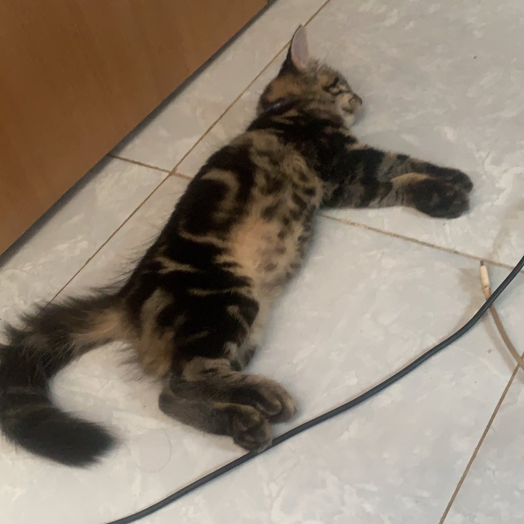 ada gempa tp dia ga bangun