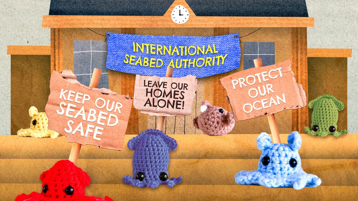 Once again the #DeepSea critters are ready to #DefendTheDeep in Kingston🇯🇲 and call on governments at #ISA29 to protect their home, its incredible #biodiversity 🐡🐙🦑 and its critical carbon stores for generations to come. 

Help them➡️ defendthedeep.org #StopDeepSeaMining