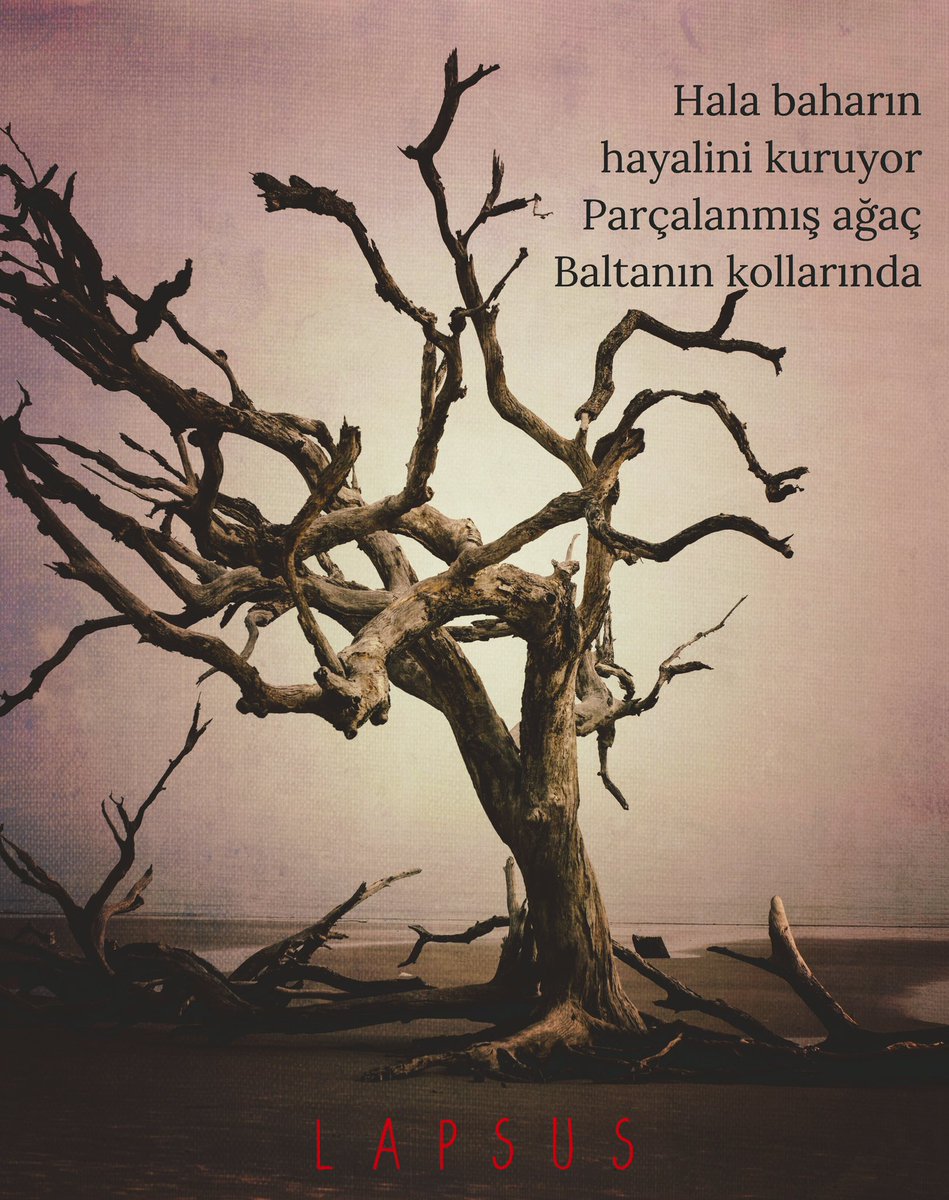 Lapsus Dergi (@lapsusdergi) on Twitter photo “Hala baharın hayalini kuruyor
Parçalanmış ağaç
Baltanın kollarında…”
Sophia Jamali Soufi
•Rüya•
lapsusdergi.com/2024/03/01/ruy…
#edebiyat #rüya #şiir #siirsokakta #bahar #balta #ağaç #dergi #mart #lapsus #hayal #Lapsusheryerde “Hala baharın hayalini kuruyor
Parçalanmış ağaç
Baltanın kollarında…”
Sophia Jamali Soufi
•Rüya•
lapsusdergi.com/2024/03/01/ruy…
#edebiyat #rüya #şiir #siirsokakta #bahar #balta #ağaç #dergi #mart #lapsus #hayal #Lapsusheryerde