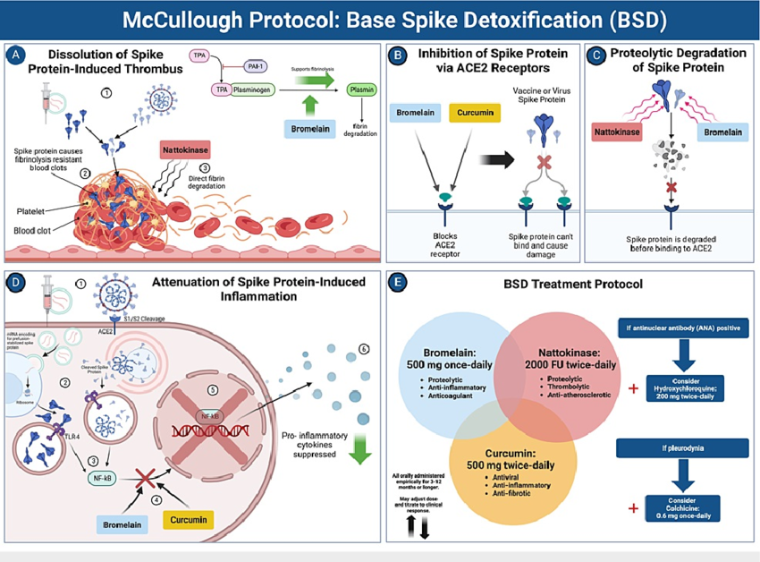 I don't know who needs to hear this but thsi is the OFFICIAL (PUBLISHED) 

spike protein detox PROTOCOL by Peter McCullough:

Bromelain 500 mg once a day
Nattokinase 2,000 FU twice a day
and Curcumin 500 mg twice a day.

The regimen is to be followed for 3-12 months or more,