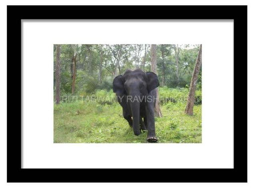 fstopdotcom's tweet image. Charging in Progress!

Visual Rhythm Campus, a division fstop.com proudly presents its E-Commerce store powered by Shopify to its customers Worldwide. Please visit fstopdotcom.myshopify.com/products/charg…
 presentation.

#fstopdotcom #visualrhythmcampus